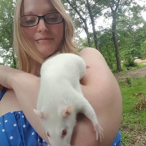 Meet your Posher, Kip